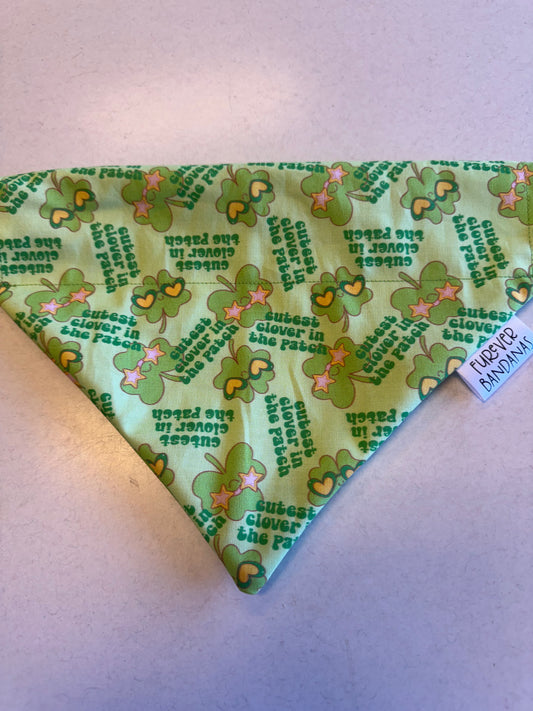 Cutest Clover Bandana